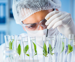 Control de calidad para la Industria del Cannabis y sus derivados